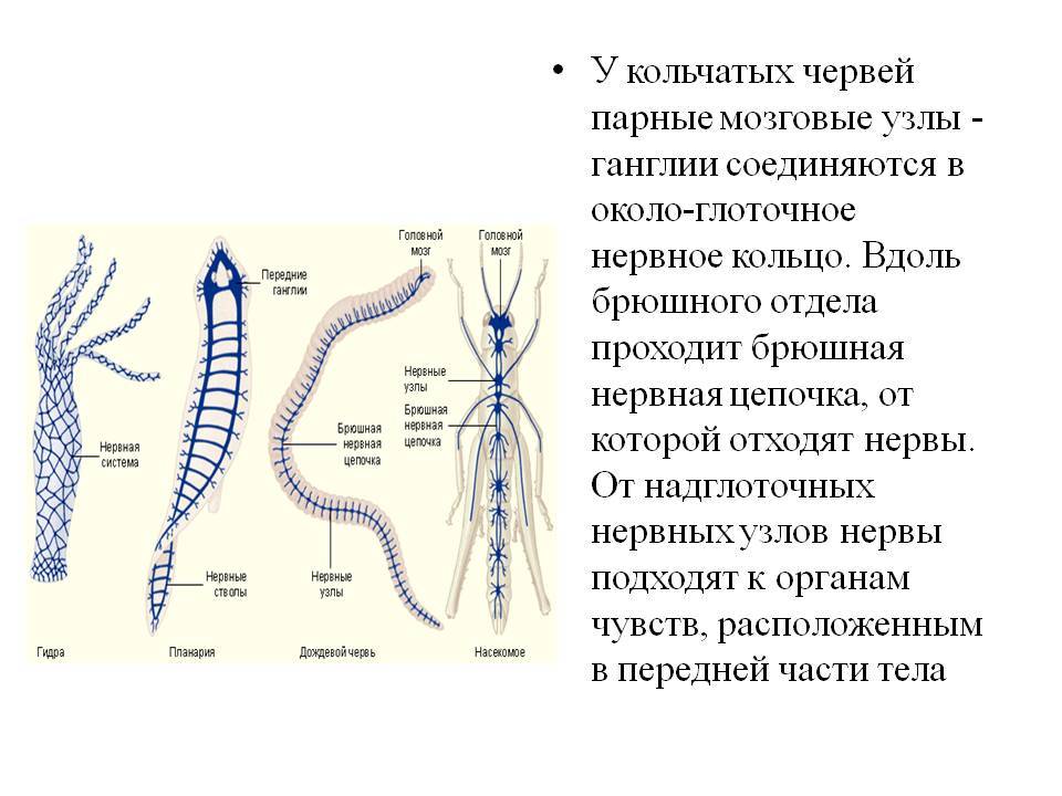 Кракен онион рабочая ссылка