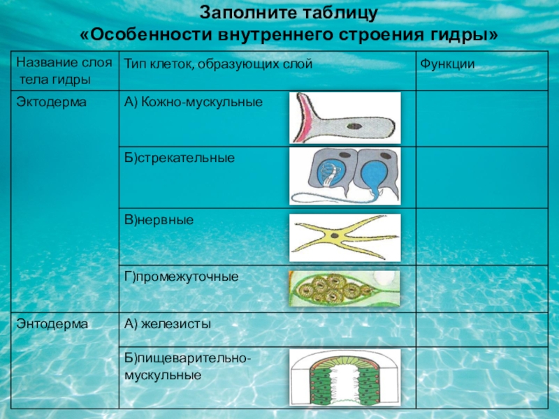 Кракен маркетплейс зайти